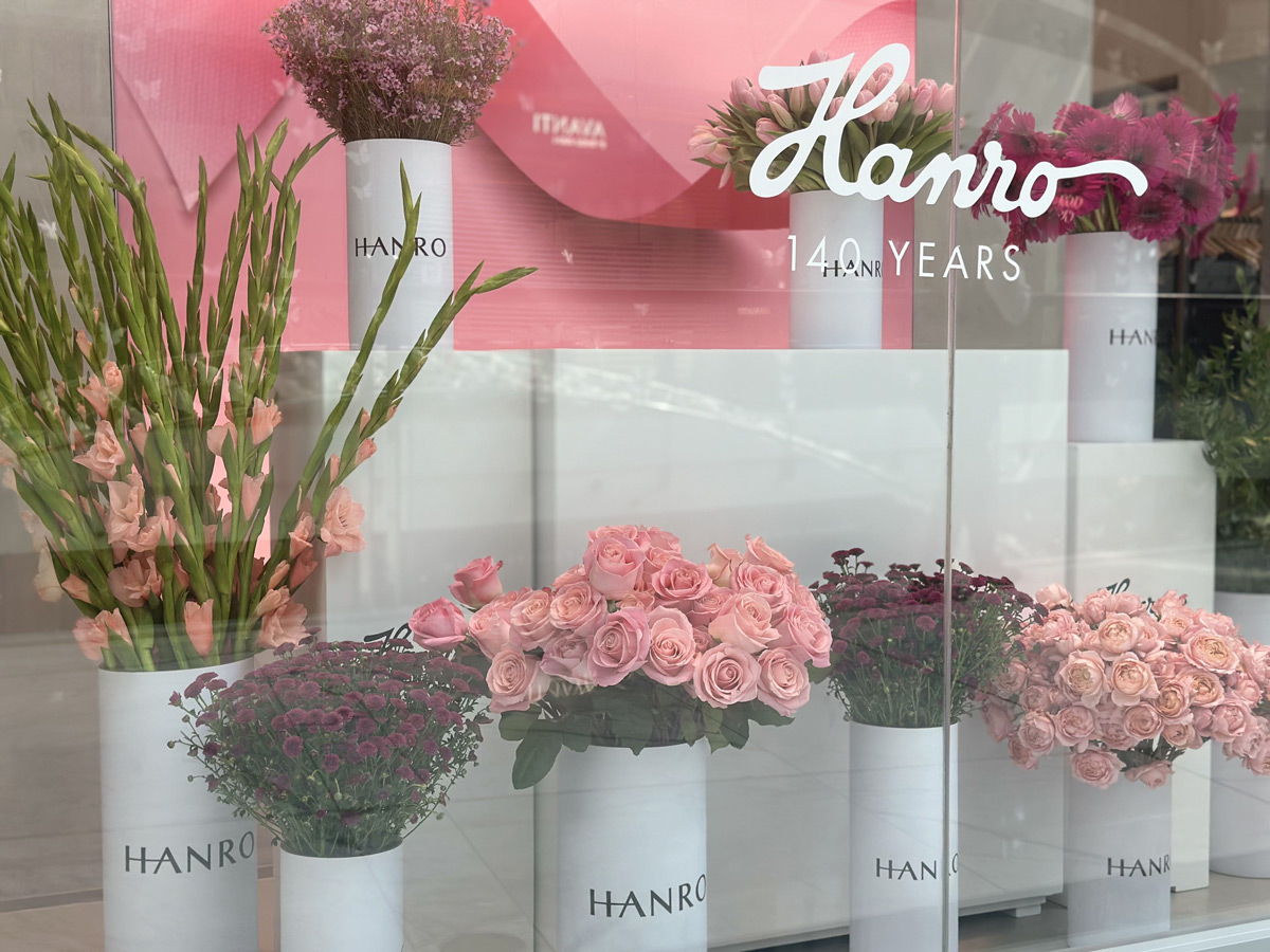 What's New at Figretail